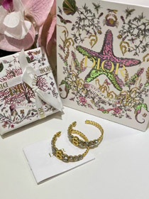 Dior oro cavallo occhio cristallo grano orecchio catena anello orecchini-3703  