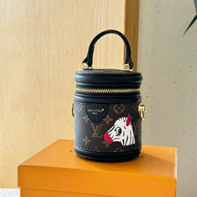 Louis Vuitton LV Mini Fortune Bucket Crossbody Borsa-4069  